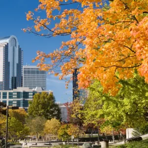 10 Places to Get Married in Charlotte, North Carolina
